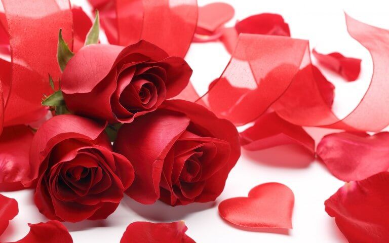 rose day 2020 sms