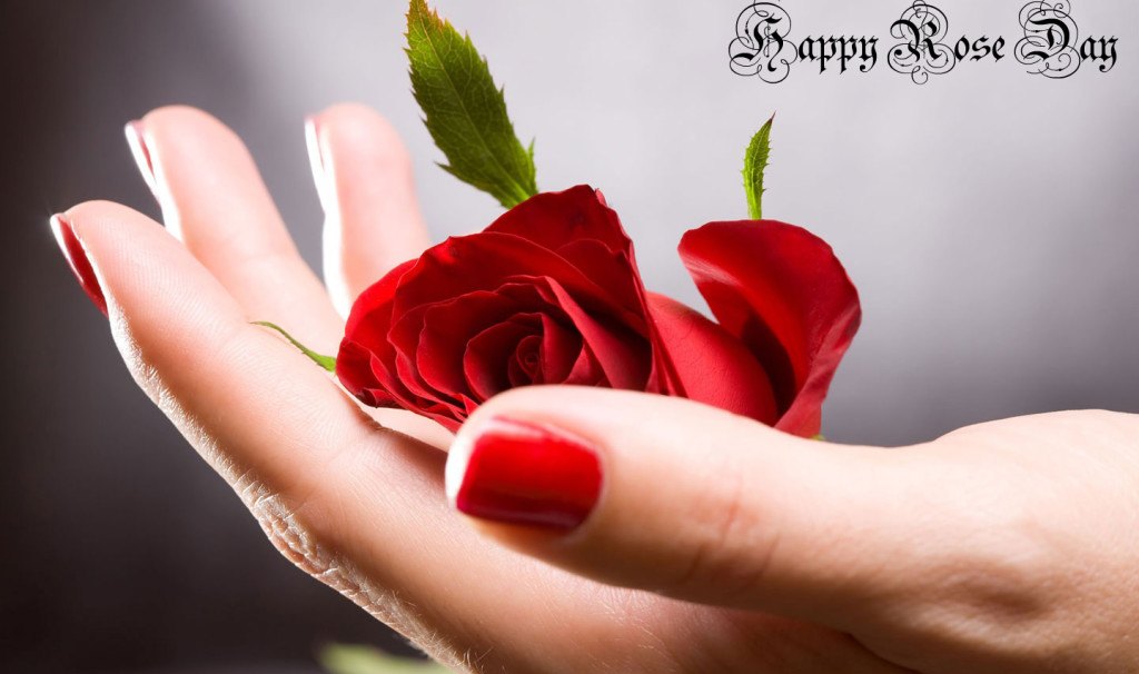 Happy-rose-Day-HD-images