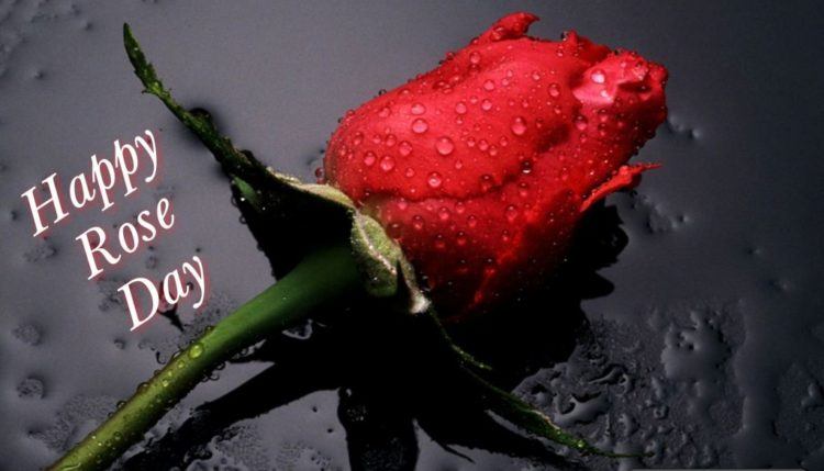 Rose Day SMS For Girlfriend