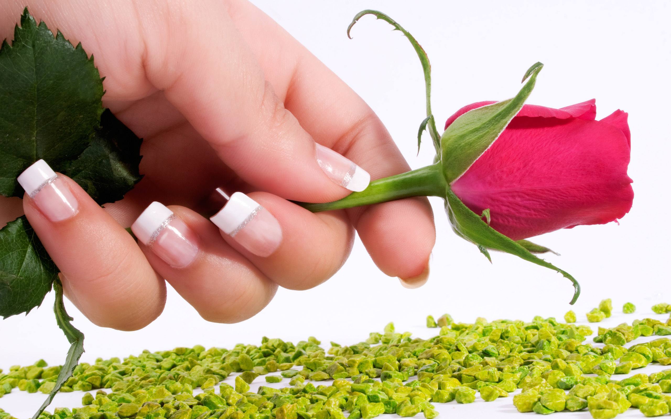 Rose Day Shayari For Boyfriend