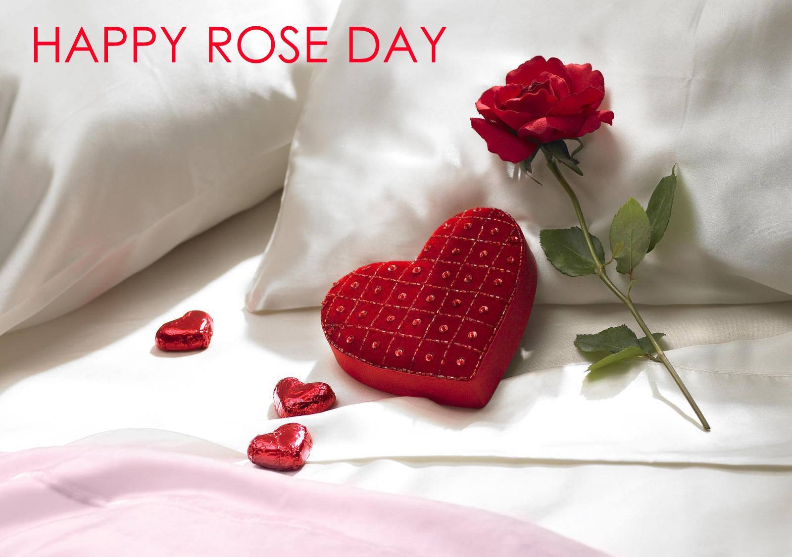 happy-rose-day-wallpaper-2020