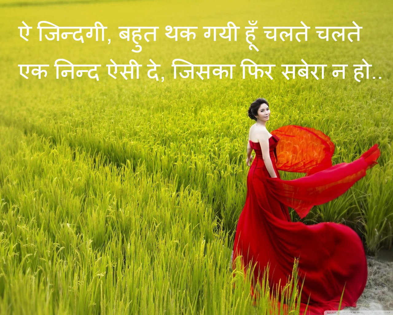 love shayari image