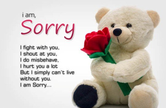 I am Sorry Shayari